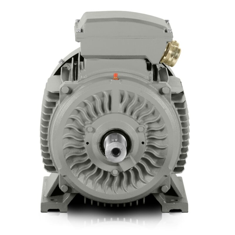 Electric motor 132kW 3LC IE3 400V/690V 1000 rpm In stock